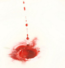 Bullet