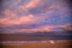 Lesbian Wedding Florida